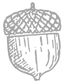 Casa Orterie
